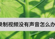 完美世界录制声音怎么设置？设置步骤是怎样的？