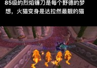 魔兽世界中德鲁伊愤怒宏的使用方法是什么？