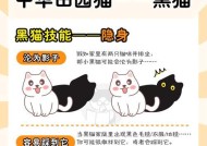 地下城黑猫怎么没了？黑猫宠物消失的原因是什么？