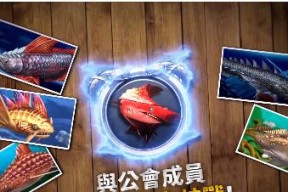 《钓鱼发烧友》初学者必看（从入门到精通）