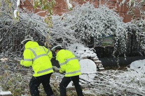 以暖雪变异残肢为主角的游戏流派探索（揭秘暖雪变异残肢的流派特点与玩法）