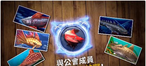 《钓鱼发烧友》初学者必看（从入门到精通）  第1张