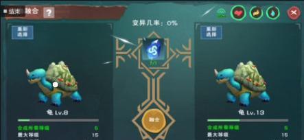 打造幸福小乌龟（用游戏的方式制作魔法小乌龟饲料）  第2张
