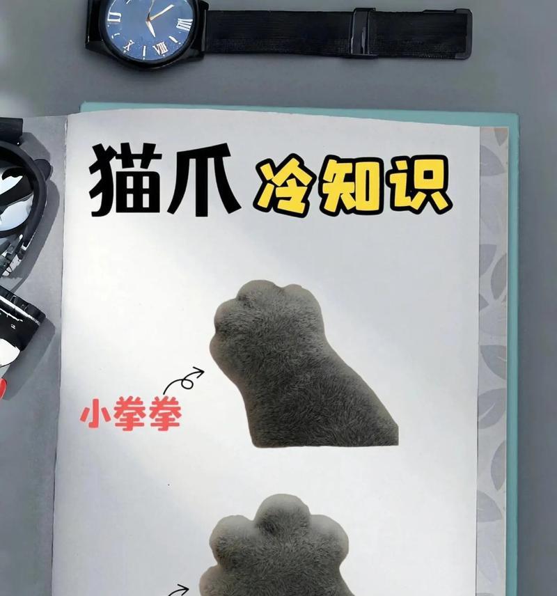 毛茸茸的小爪子获取方法是什么？如何获得？  第2张