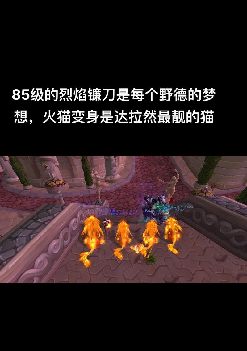 魔兽世界中德鲁伊愤怒宏的使用方法是什么？  第1张