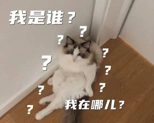 王者荣耀中陈必成的塌是什么意思？如何发生？  第3张