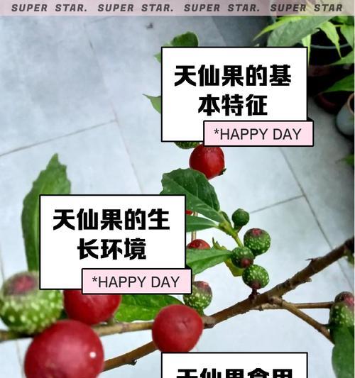 完美世界中天神果的具体作用是什么？如何正确使用天神果？  第2张
