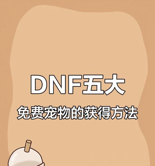 DNF宠物如何开启？开启宠物的正确步骤是什么？  第2张