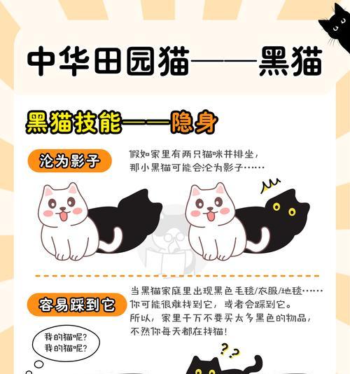 地下城黑猫怎么没了？黑猫宠物消失的原因是什么？  第1张