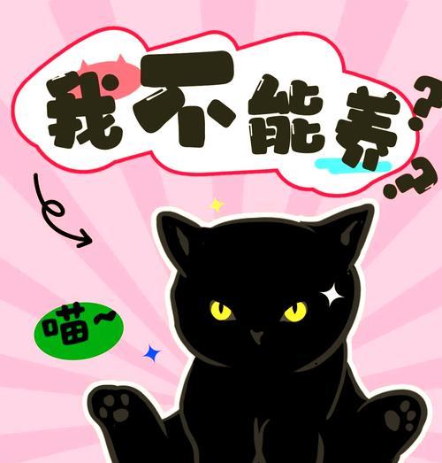 地下城黑猫怎么没了？黑猫宠物消失的原因是什么？  第2张