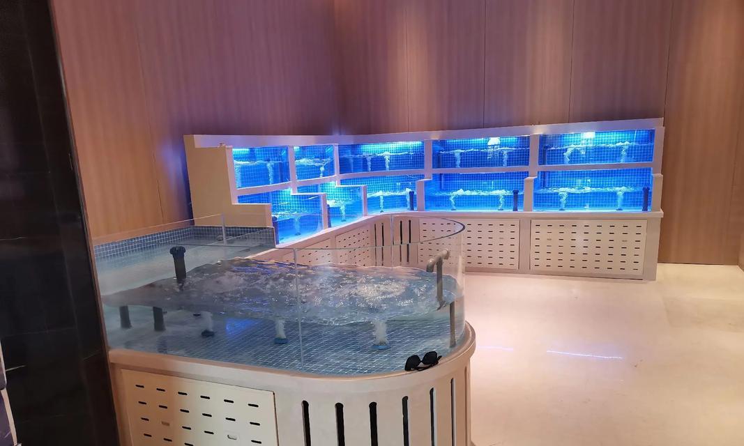 地下城鱼缸的获取途径有哪些？需要哪些条件？  第2张